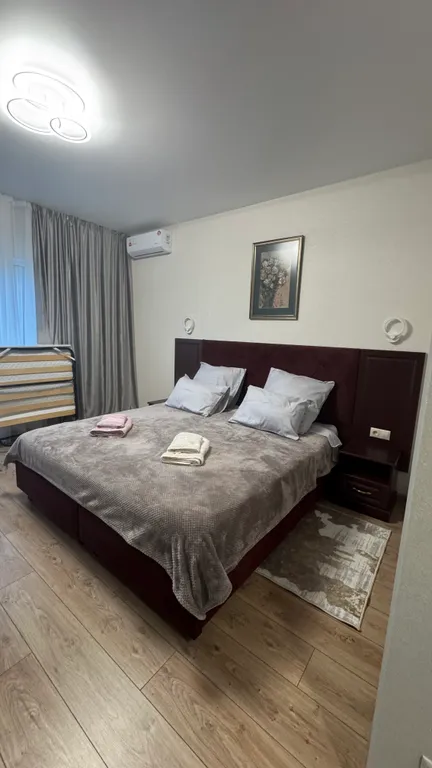 Студия Киви