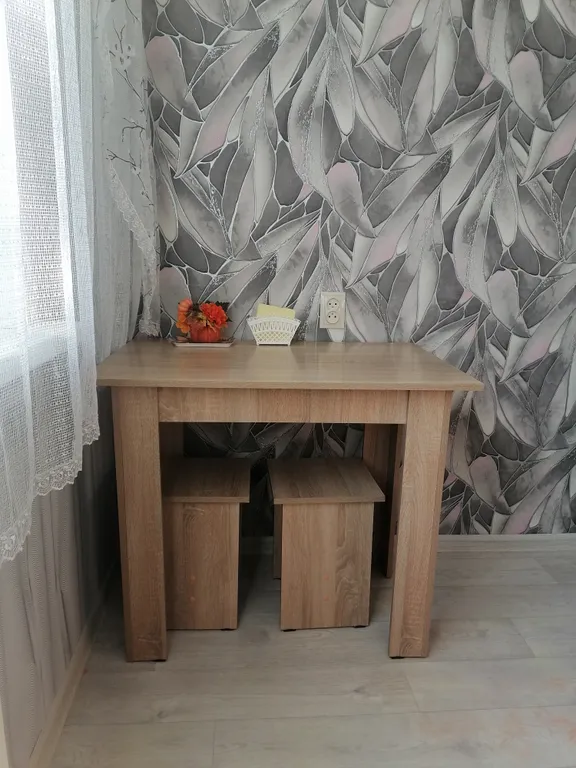 Уютная квартира в центре ждёт своих гостей (не моложе 25 лет)