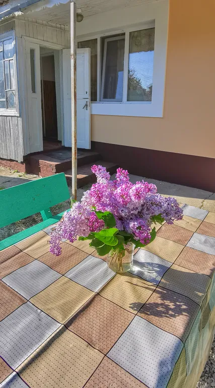 Коттедж Частный дом со своим двором — Фрунзе