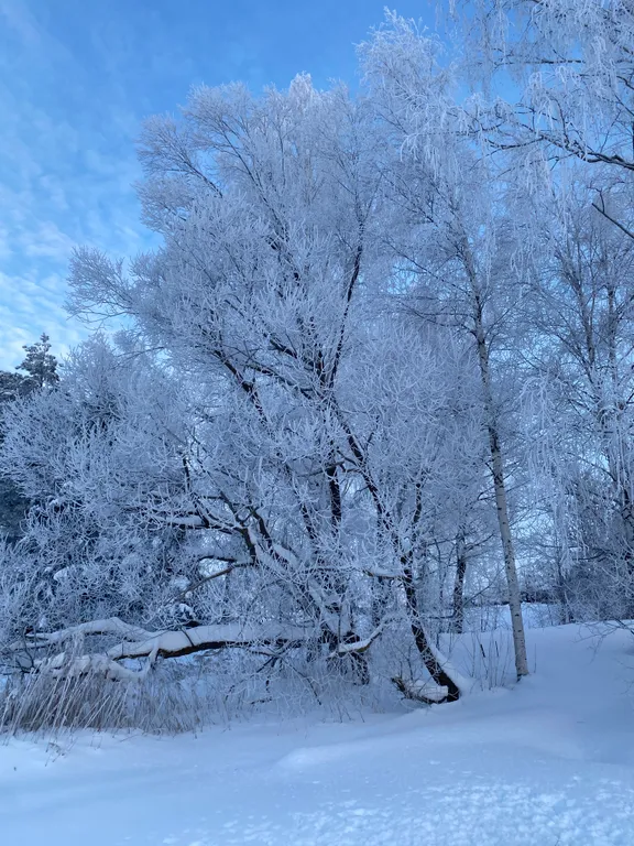 Уютный апартамент около озера