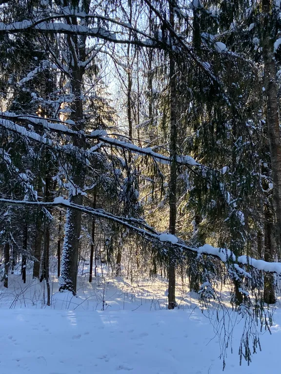 Квартира Апартаменты Александровские — Пушкин