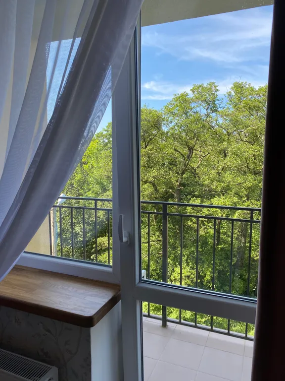 Квартира Уютная 2-х комнатная квартира на берегу Балтийского моря — Пионерский