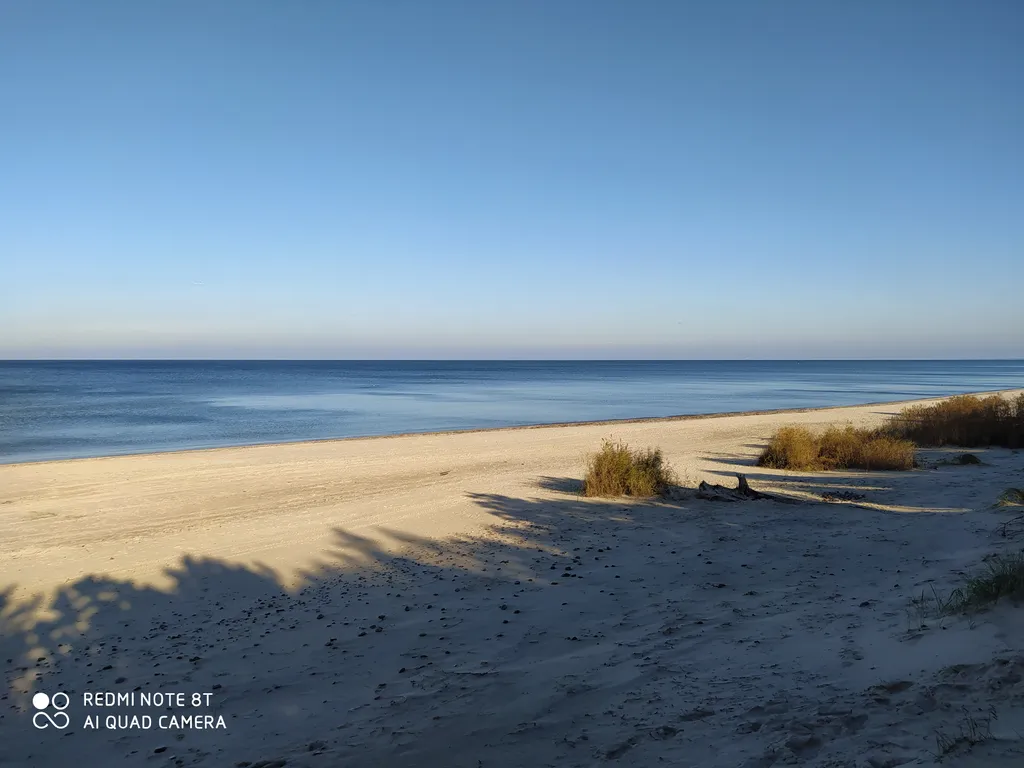 Квартира Уютная квартира с видом на лес — Светлогорск