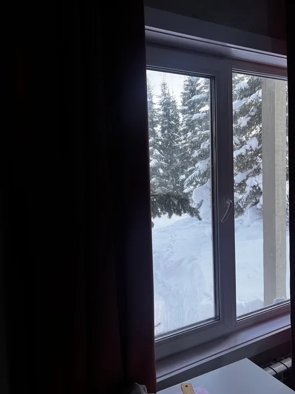 Коттедж Уютный домик в лесу на 2+2 — Шерегеш