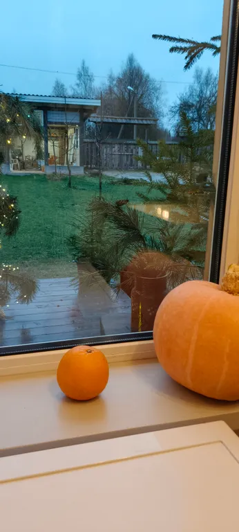 Таруса-отдых