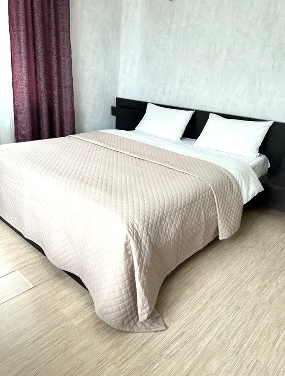 Квартира 1-комнатная Квартира — Пушкин