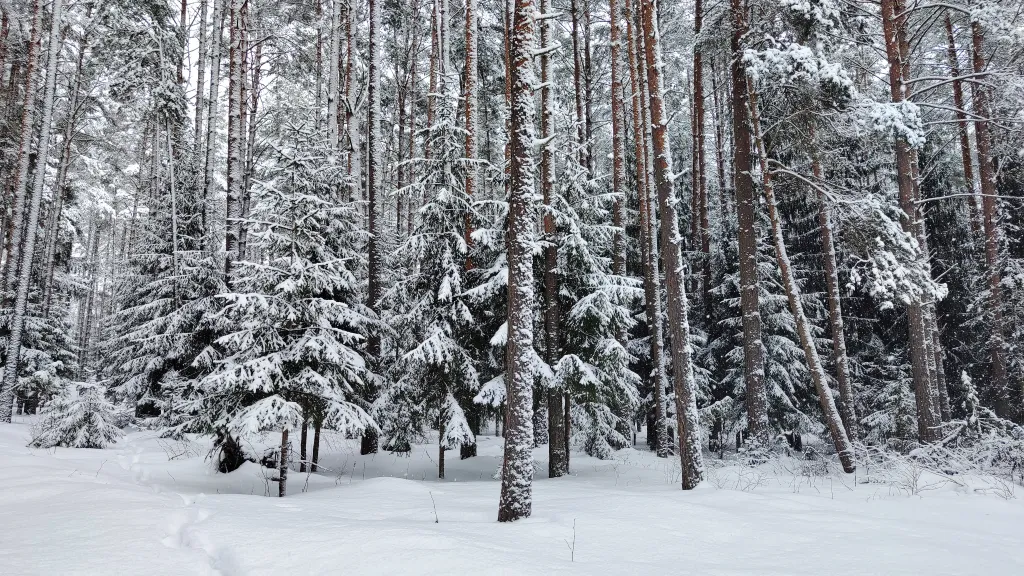 Коттедж Дом у озера с баней, чаном и детской площадкой с батутом. — Ланино