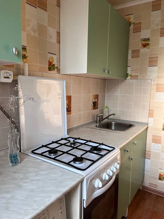 Квартира с видом на городской парк