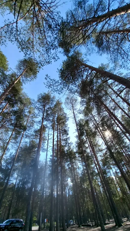 Первая линия Сямозера