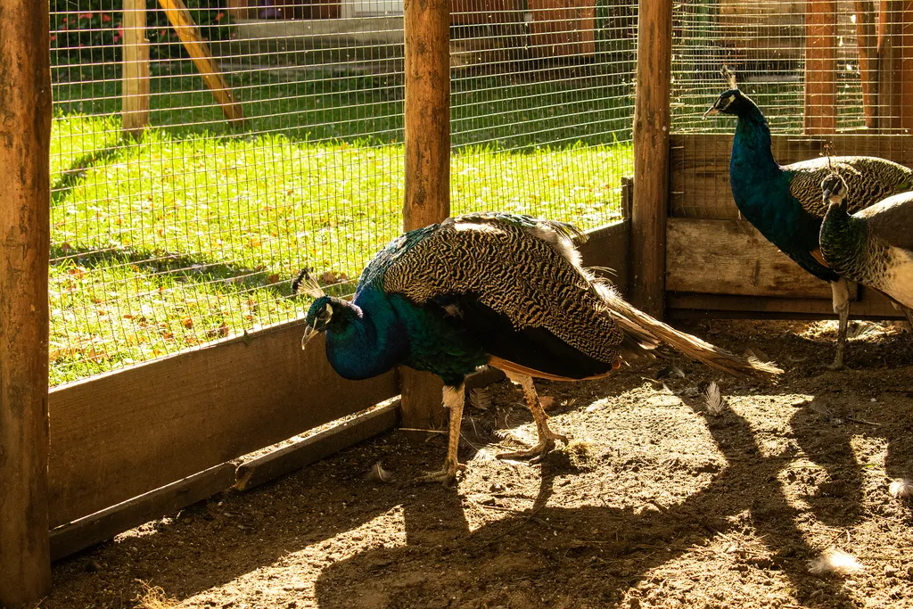 Гостевой дом для 6 гостей