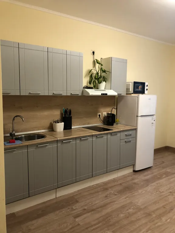 Квартира Уютная квартира с видом на парк — Екатеринбург