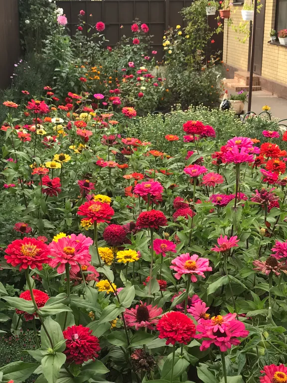 Коттедж Домик с цветущим садом — Кисловодск