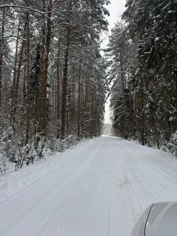 Дом на опушке с баней и видом на лес