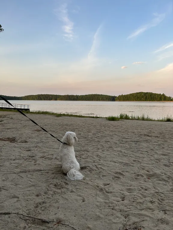 Апартаменты на озере Увильды