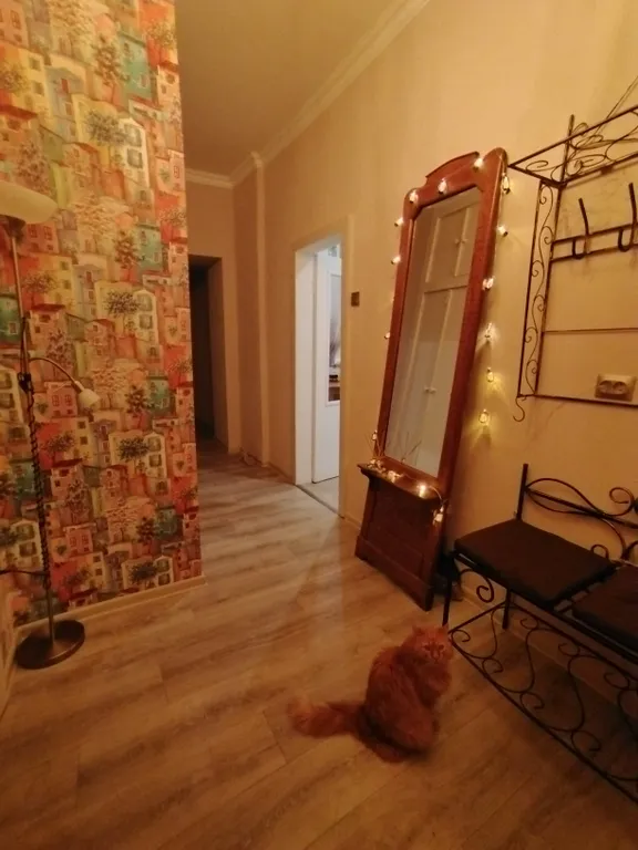 Квартира Большая комната в тихом центре рядом с Академией художеств — Санкт-Петербург