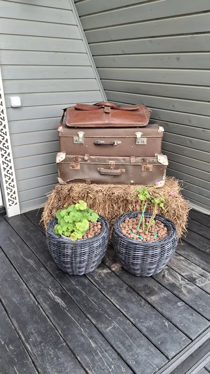 Дом-шалаш на территории частного домовладения