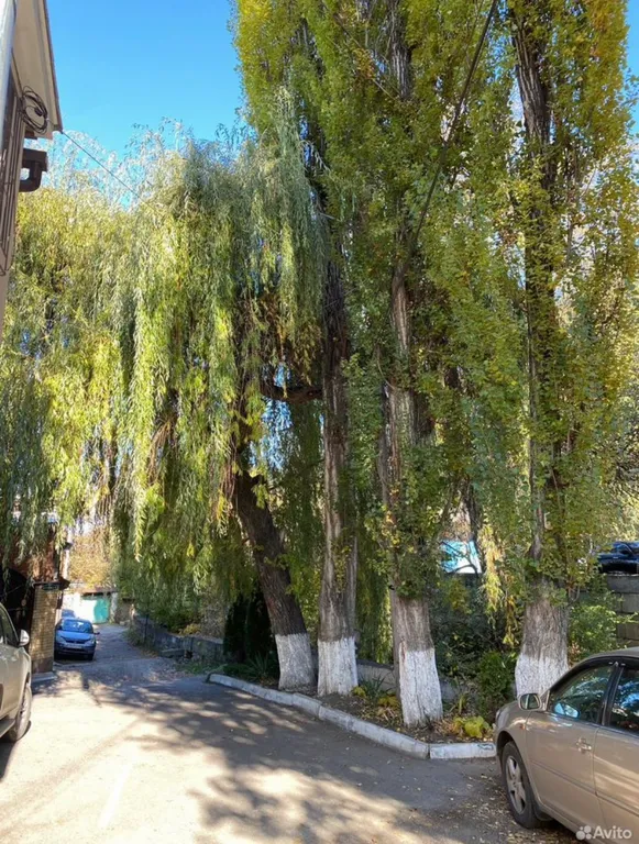 Домик у речки