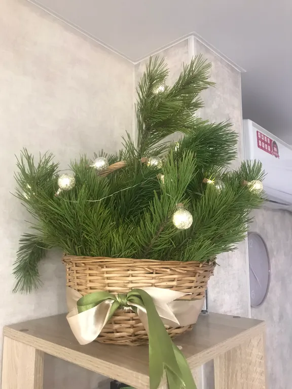 Чистая, уютная, свежая студия в центре курортной зоны