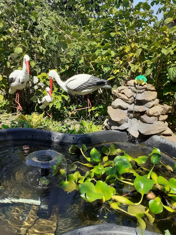 Коттедж Дом в пешей доступности до парка. Дом с банным чаном — Кисловодск