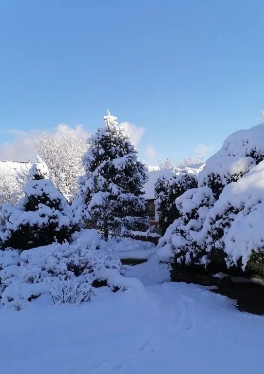 Коттедж Шикарный дом у озера — Красное Село