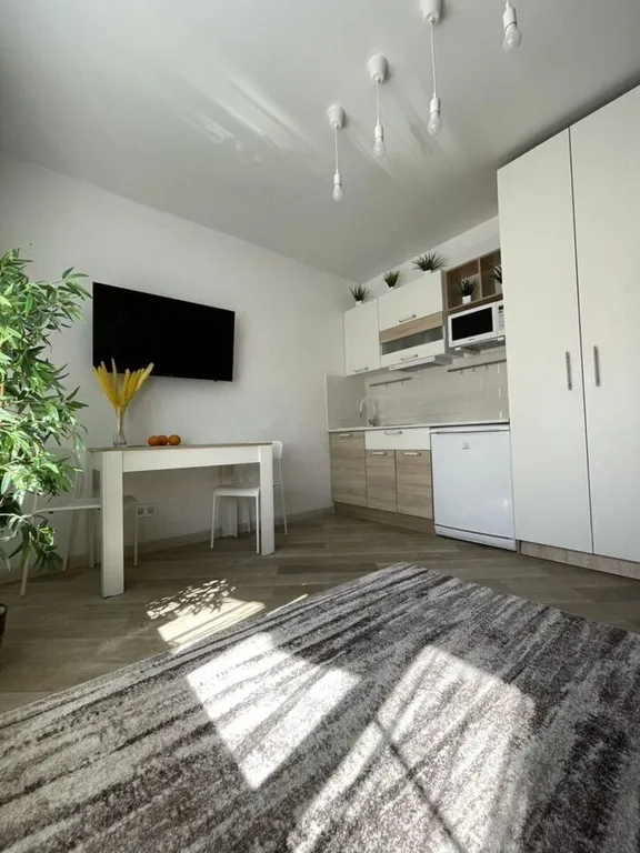 Квартира Квартира Уютнaя квapтирa-студия в цeнтpе Адлерa — Сириус