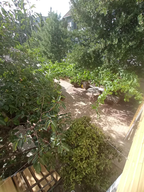 Семейный отдых для дружной семьи/компании