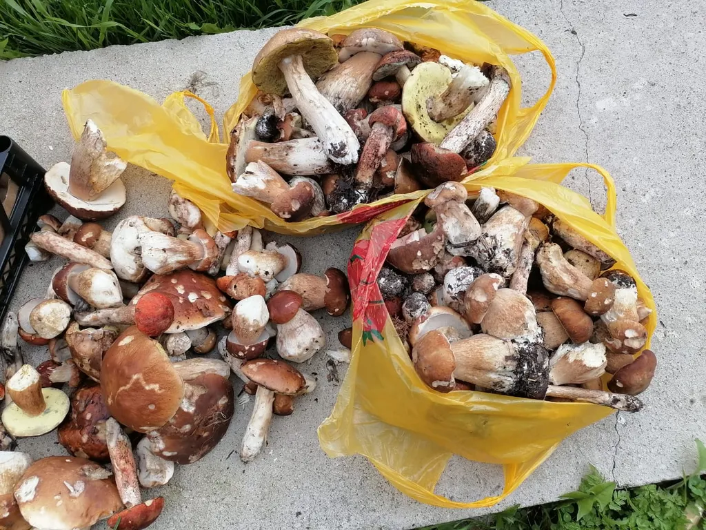 Дом на озере Селигер