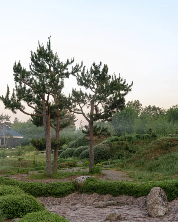 Шале с камином