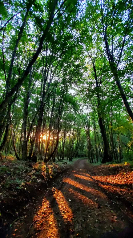 Барн-хаус | 4+1 гость | Лес, горная река, полное уединение