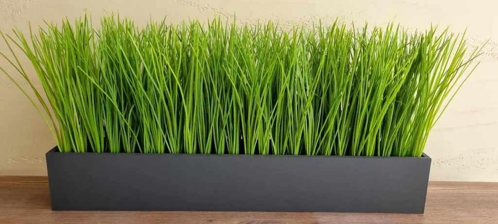 Уютная и очень чистая квартира в центре