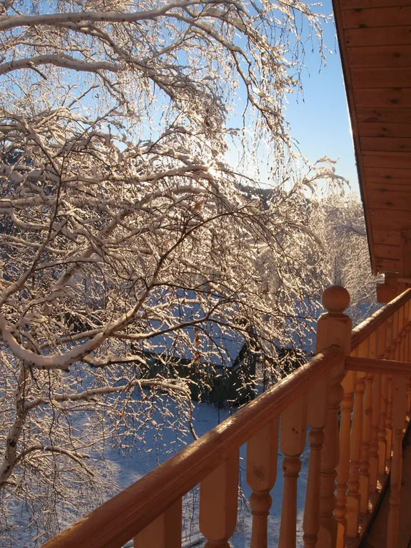 Теремок в горах бревенчатый дом и баня
