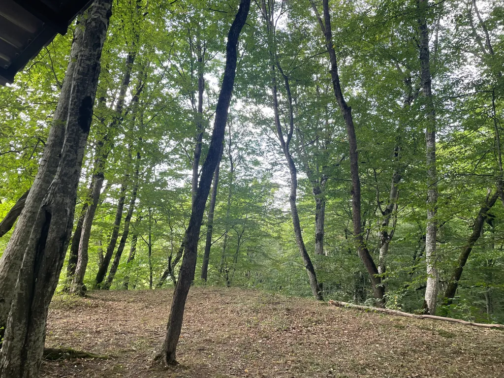 Гостевой домик Дубрава в горах Адыгеи