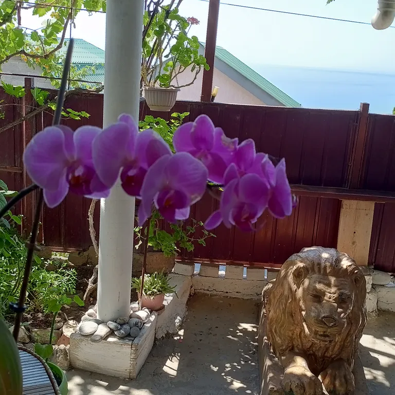 Студия с террасой, частный сектор