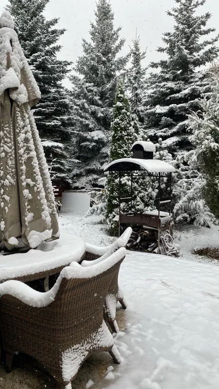 Sweet Home Домик с голубыми елями