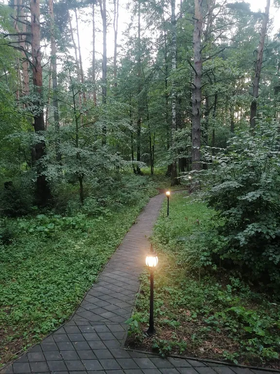 Уютный коттедж в сосновом лесу рядом с Москвой