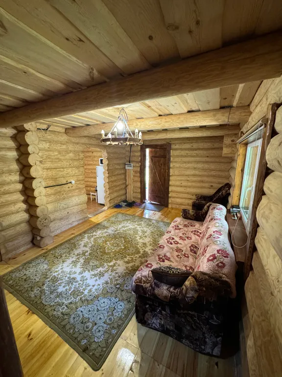 Деревянный дом в лесу рядом с рекой