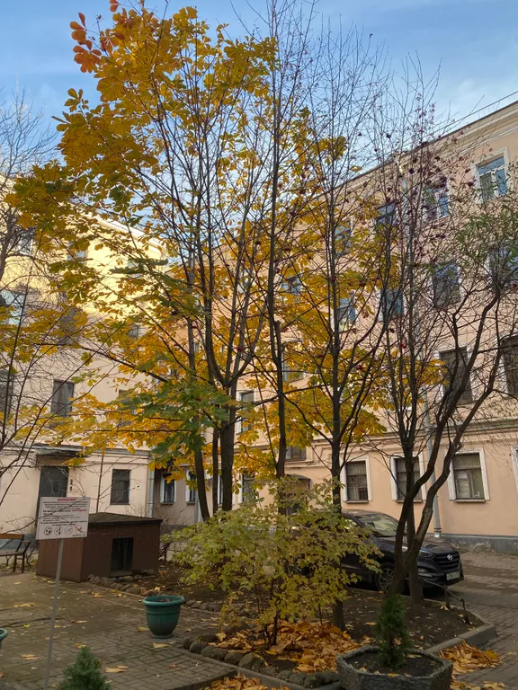 Квартира Квартира Островок старого города — Санкт-Петербург