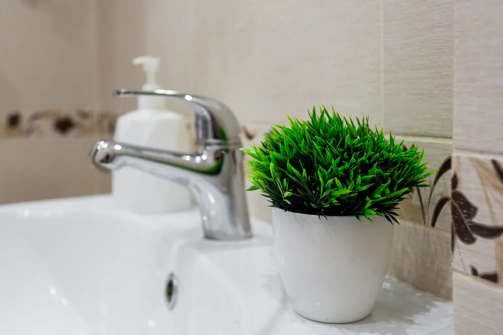 Видовая студия