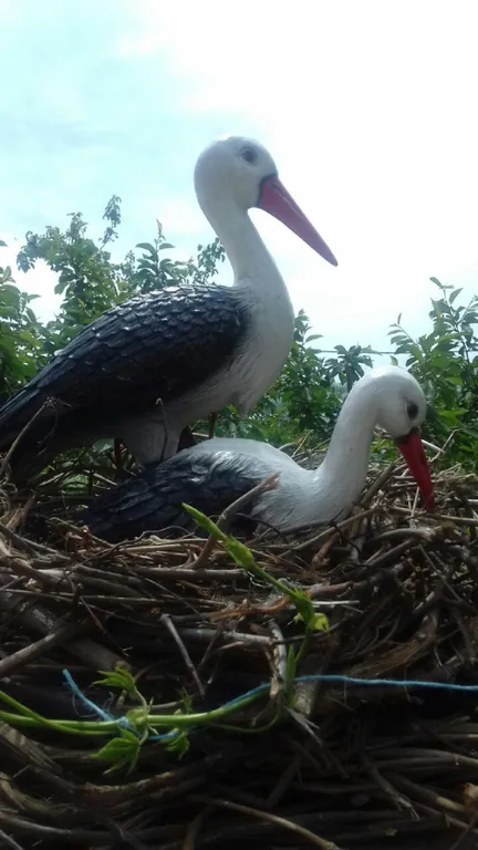 Дом под ключ в тихом и экологически чистом районе Севастополя у моря