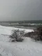 Ксения