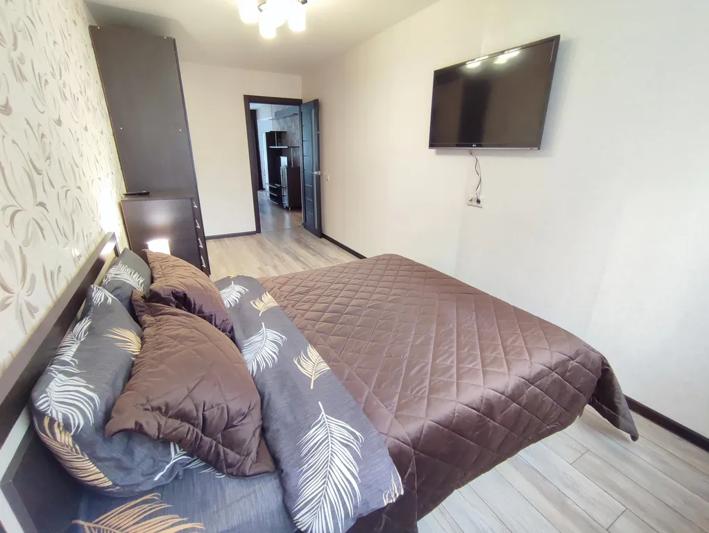 Апартаменты в самом центре (площадь победы, три штыка, амфитеатр)