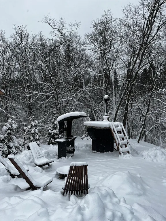 Дизайнерский дом Море в лесу