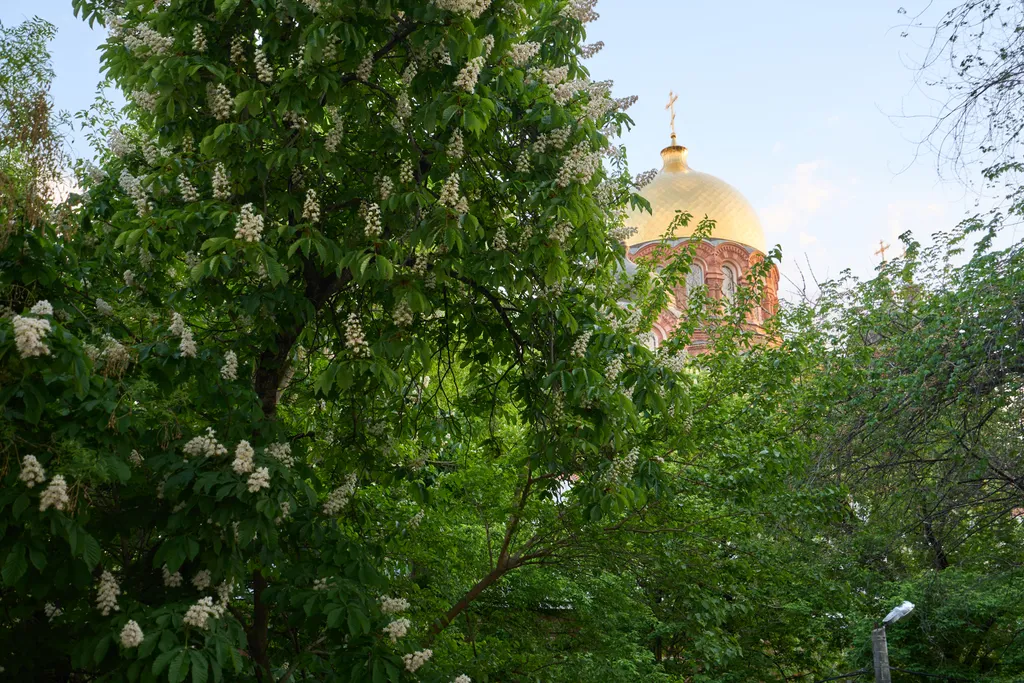Квартира 2-комнатная квартира в старом центре с видом на Собор — Краснодар