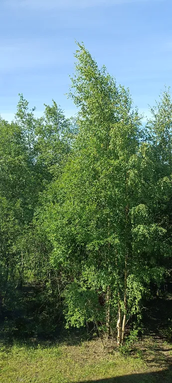 Простая, но уютная квартира с домашней атмосферой