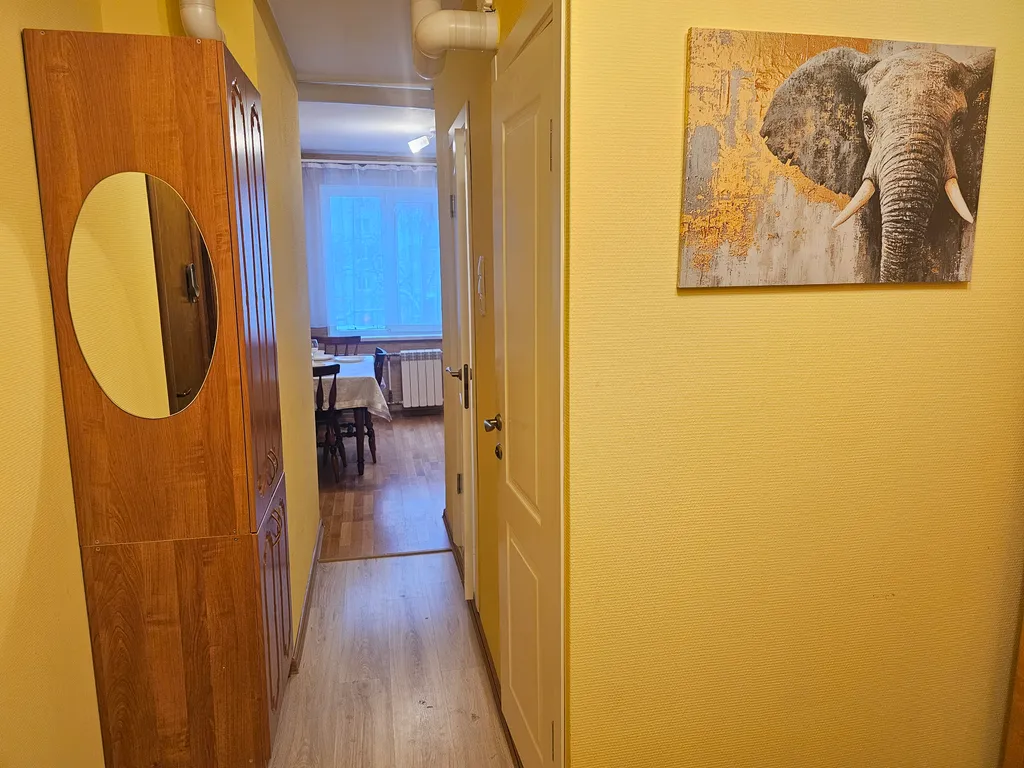 Просторная однокомнатная квартира