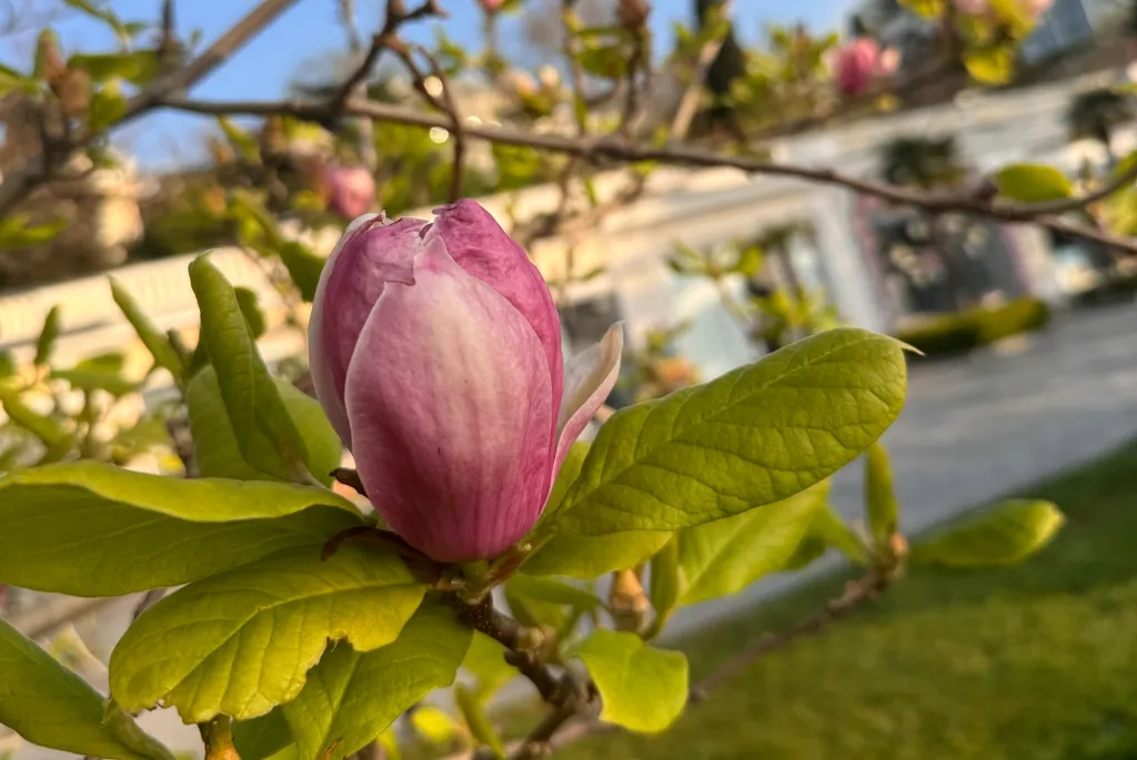 Апартаменты Приморский Парк рядом с морем