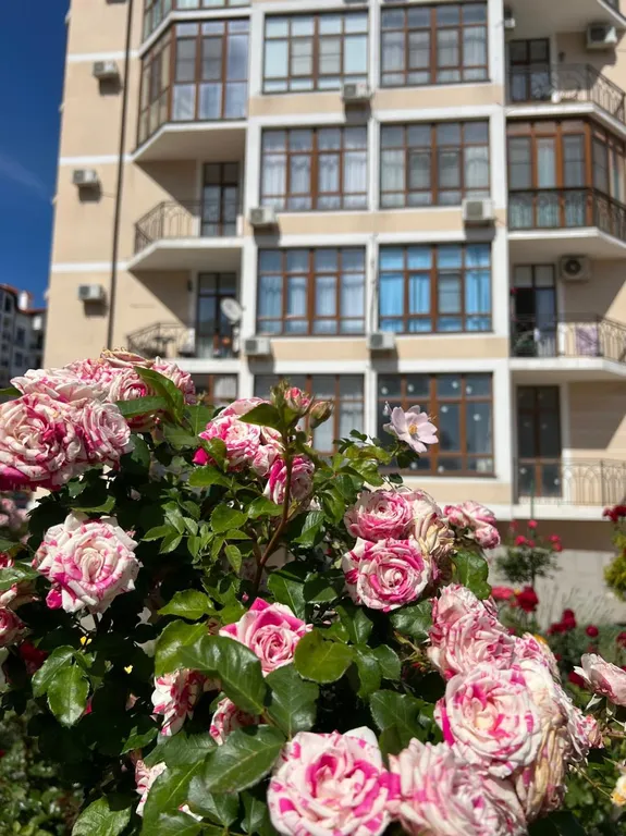 Квартира Квартира Отдых в Геленджике — Геленджик