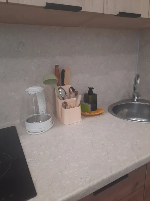 Уютная студия в центре города