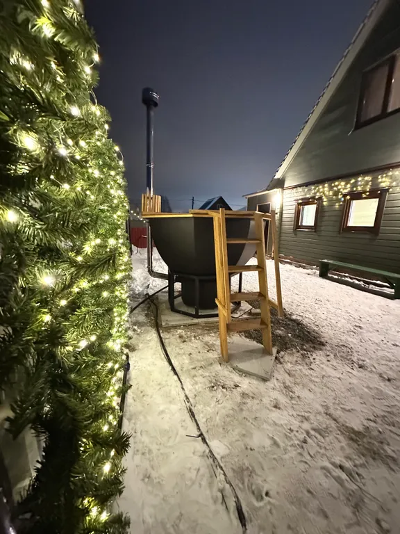 Дом-баня с бассейном и чаном