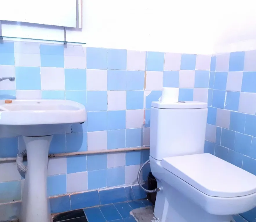 Большой дом для большой компании